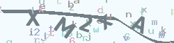 验证码